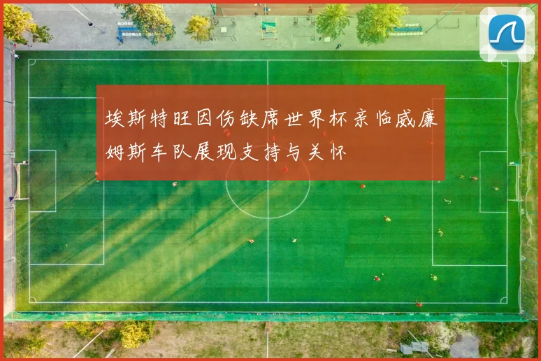 埃斯特旺因伤缺席世界杯亲临威廉姆斯车队展现支持与关怀