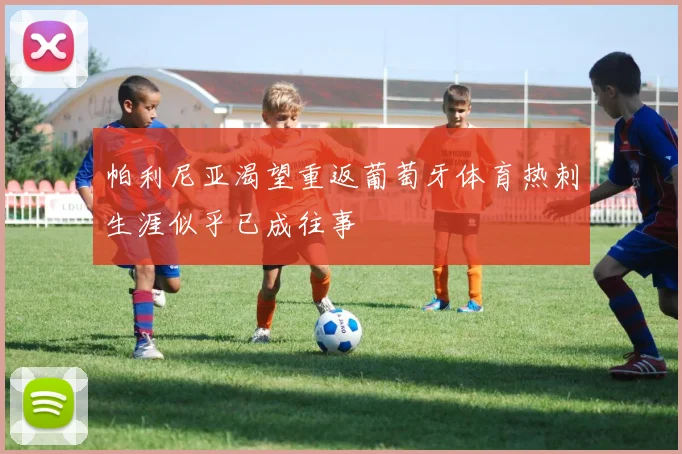 帕利尼亚渴望重返葡萄牙体育热刺生涯似乎已成往事